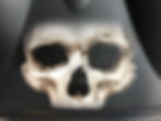 Tour Pack Skull