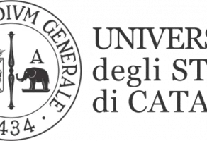 Master Management Pubblico Catania: testimonianza su ICT e transizione digitale nella nuova edizione