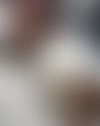 When Solidarity Becomes Strategy: How White Feminism Co-Opted Black Women’s Struggles—And The Complicity Within