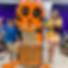 IMG_2382.jpeg