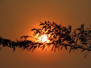 Be Still and Know that He is God (Psalm 46)