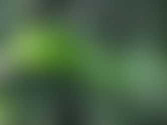 Living a healthy lifestyle