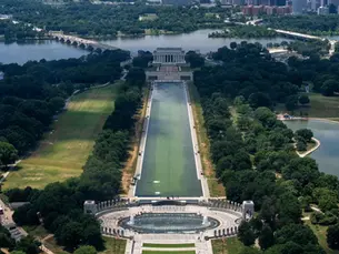 Trump Swamp Saga Continues