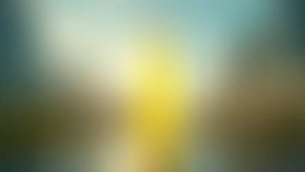 Waarom 75% van mijn portefeuille in Lemonade zit: mijn visie op dit AI-aandeel