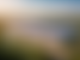 Dit vastgoedaandeel lijkt bijna gegarandeerde winst te leveren