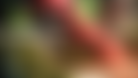 Cannabis aandelen crashen na ‘goed nieuws’ dit zag niemand aankomen