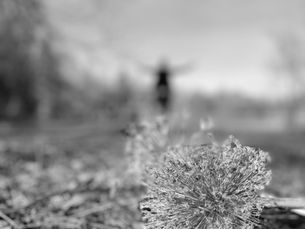 Rituale bei der Trauerfeier – Warum kleine Gesten oft mehr sagen als Worte