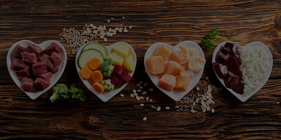 Panorama banner of healthy fresh ingredients for pet food in individual heart-shaped bowls