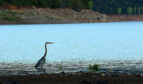 North Sterling State Park Testimonial image 1.png