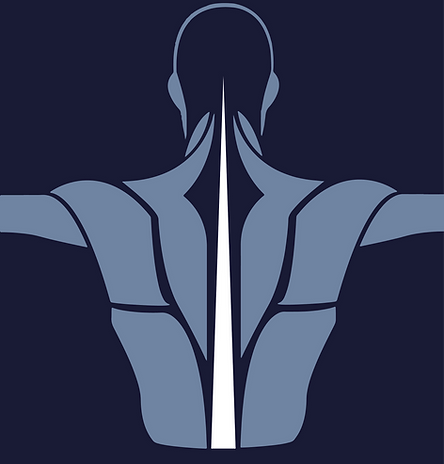 ICONE PHISI.CO_Tavola disegno 1.png