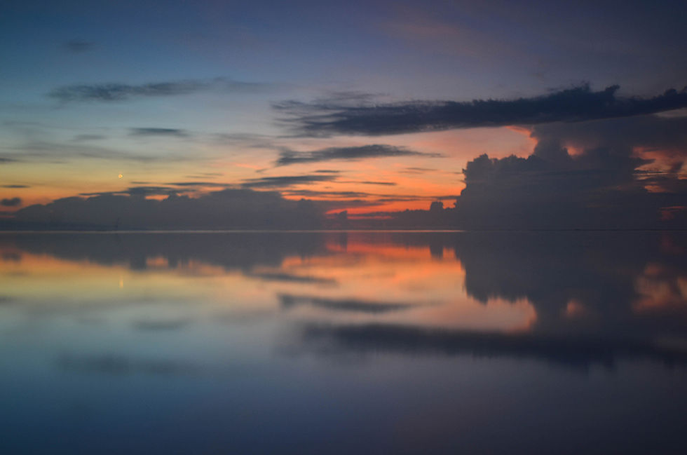 Reflection