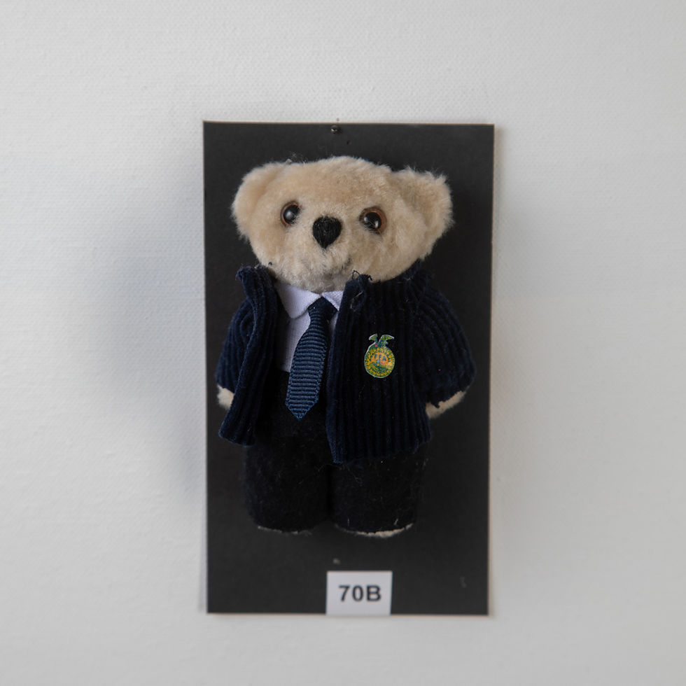 Thumbnail: FFA Bear- male and female