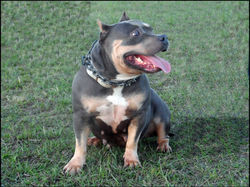 SAM_0951