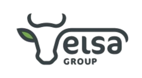 Elsa Group Logo
