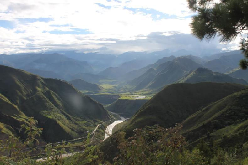 Top image of the item