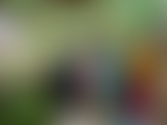 「ふつう」vol.25 コロンビア ナリーニョ県 ラ・ウニオン 2023/8/10~出荷開始 【コーヒー豆の通販ならNifCoffee】