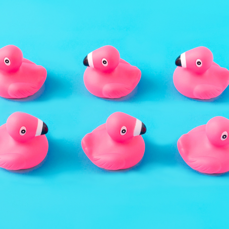 Ducks in a Row: Nurturing Alignment for Long Term Success