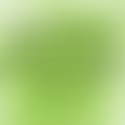 Lyme Awareness Month, Day Eight: Nevertheless, We Survive