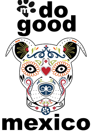 do%20good%20mexico%20logo_edited.png