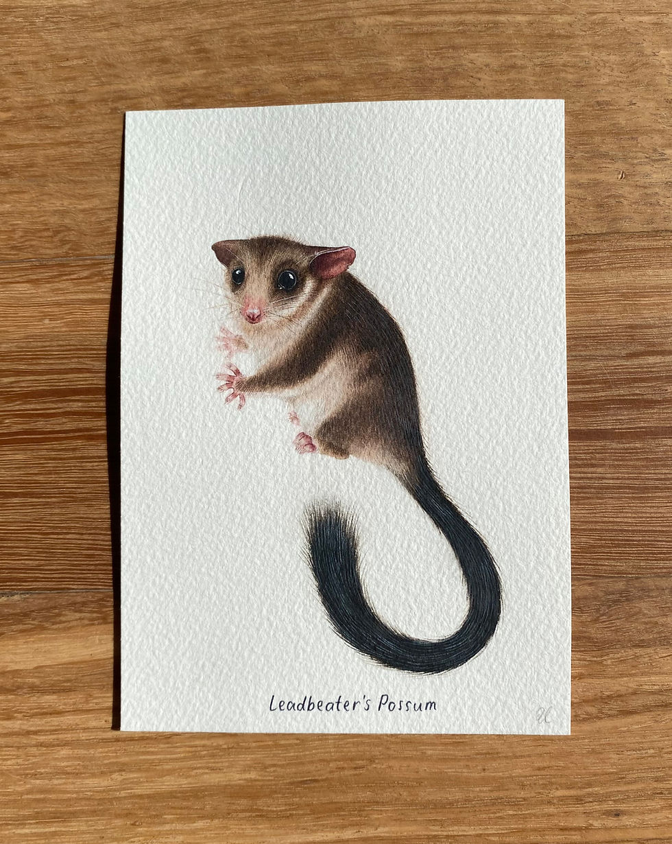 Thumbnail: Tiny Treasures Original Artworks