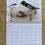 Thumbnail: 2025 Monthly Calendar - A Year of Australian Birds and their Nests