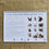 Thumbnail: 2025 Monthly Calendar - A Year of Australian Birds and their Nests