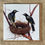 Thumbnail: Greeting Cards 6 Pack Summer/Autumn - A Year of Australian Birds and their Nests
