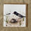 Thumbnail: Greeting Cards 6 Pack Summer/Autumn - A Year of Australian Birds and their Nests