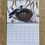Thumbnail: 2025 Monthly Calendar - A Year of Australian Birds and their Nests