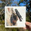 Thumbnail: March's Glossy Black Cockatoos - 21 x 21 cm Print