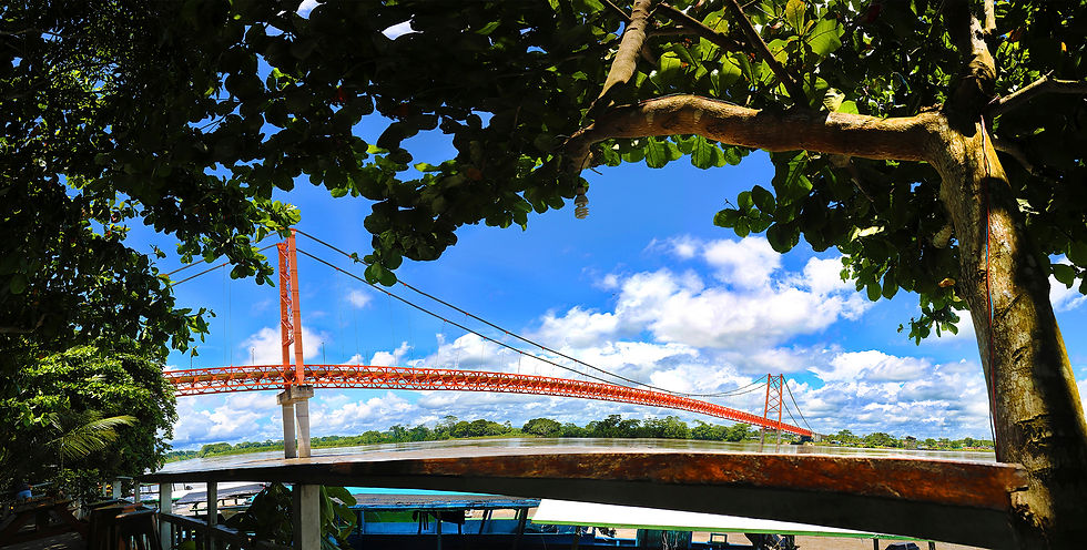 Puente Billinghurst-PavelMartiarena.jpg