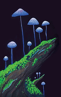 Mushies_1.jpeg