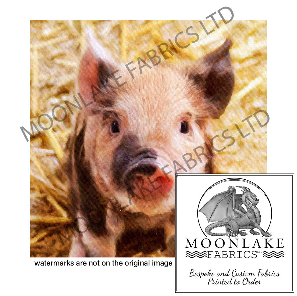 Piglet sitting in Hay