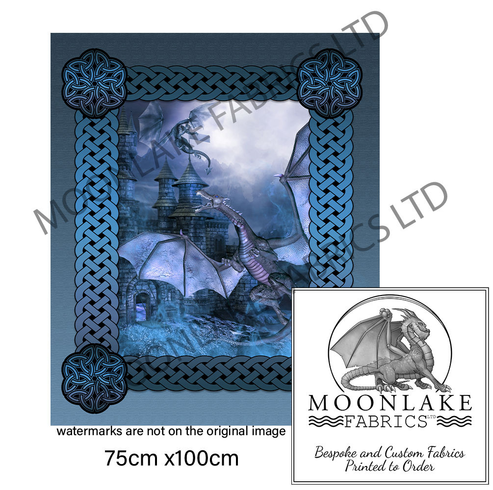 Dragon Age Blue Long Panel