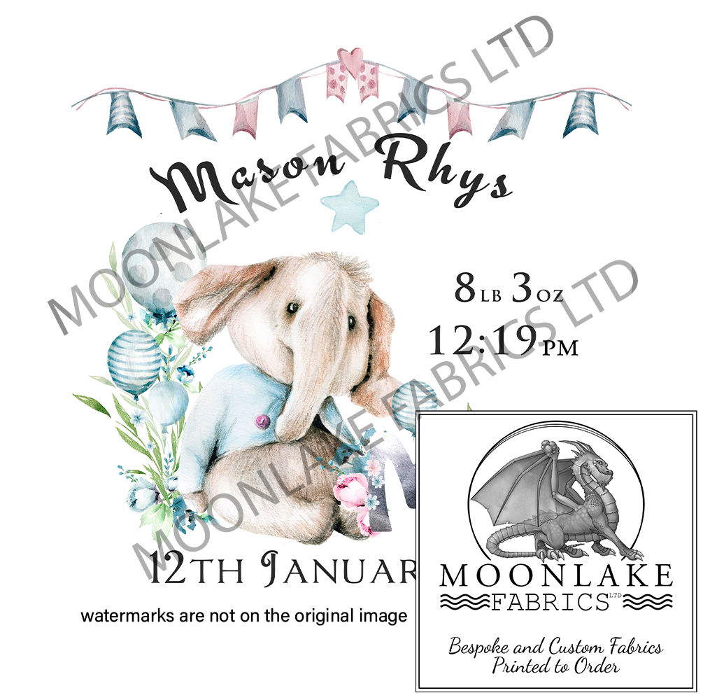 Flumpy Elephant Name Date Weight Time