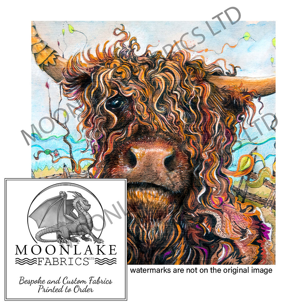 Curly Highland Cow Ornage Tones