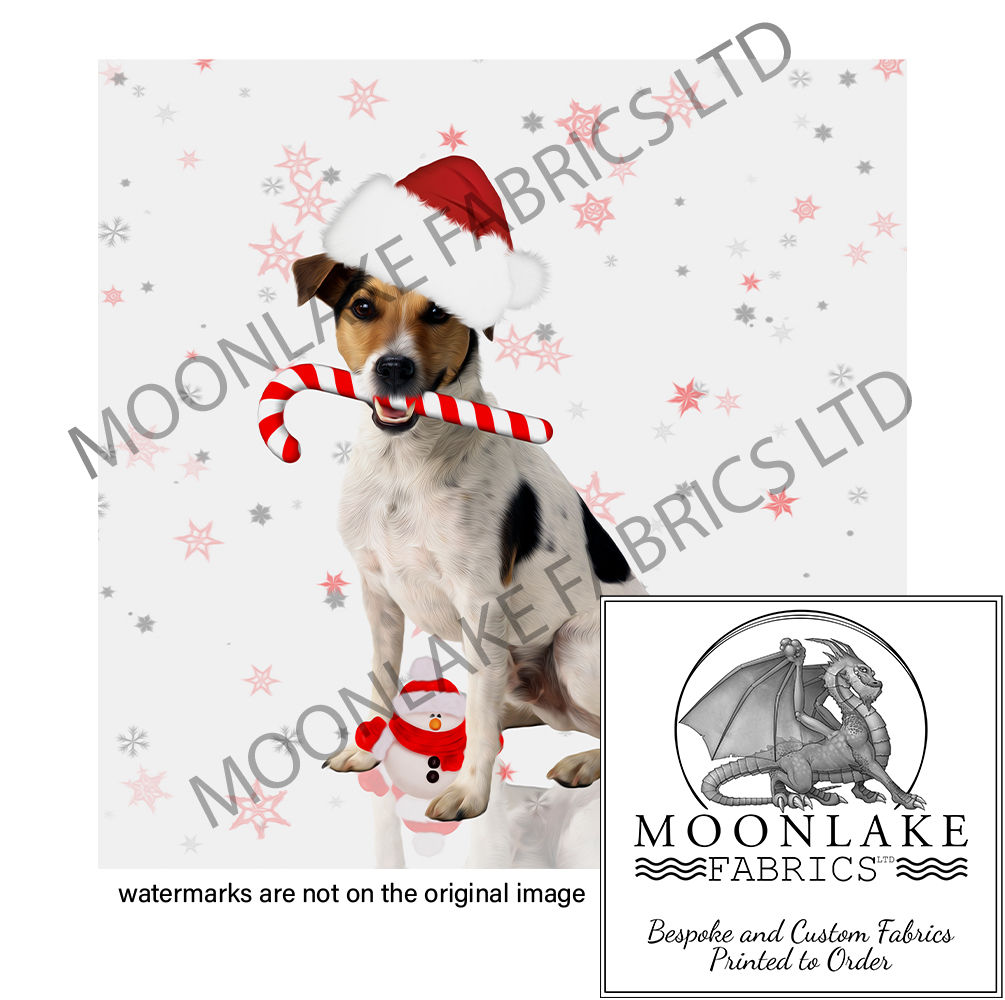 Jack Rusell In Santa Hat