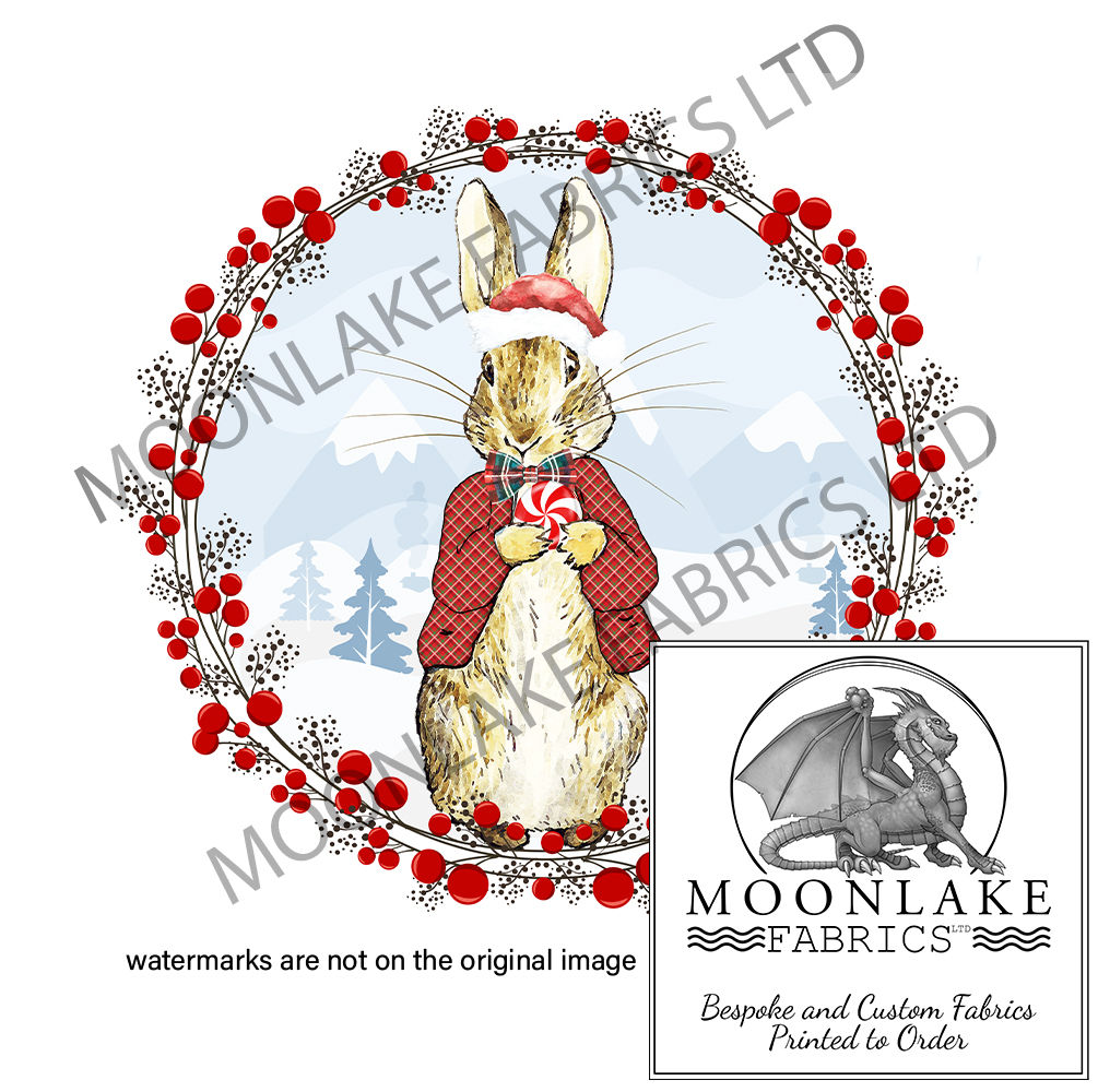 Christmas Peter Circle