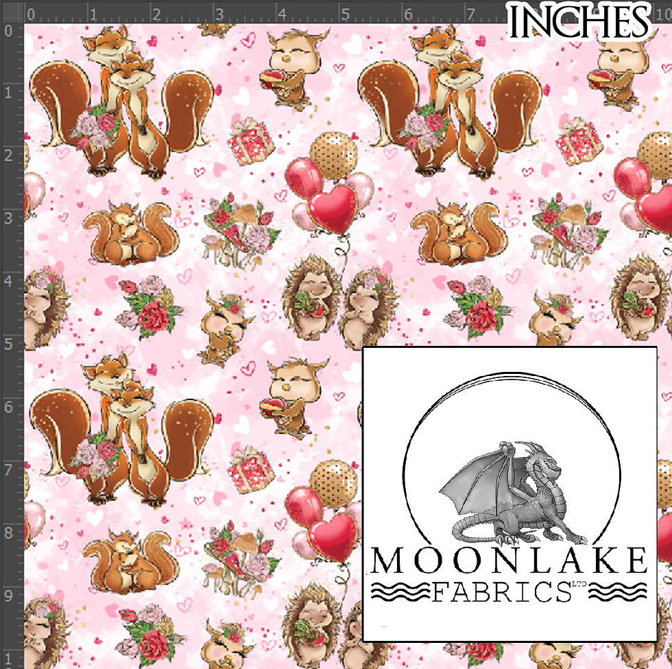 Loving Hedgehogs and other Animals