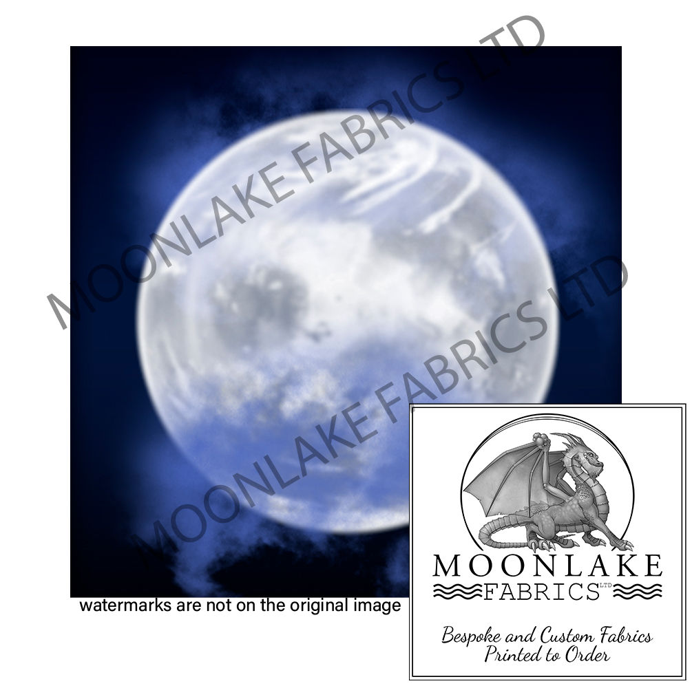 Fairy Moon Matches Silhouette Fairies