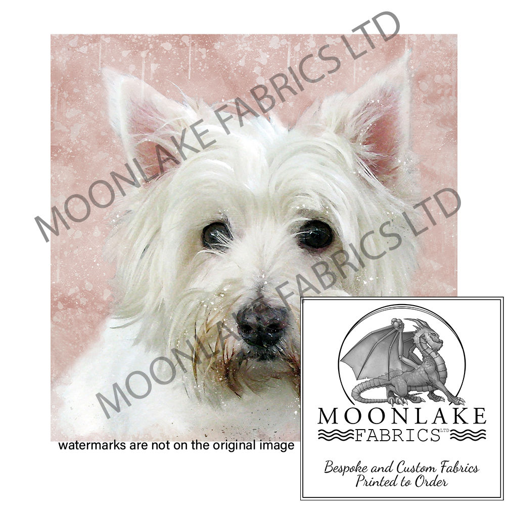 Westie on Salmon Background