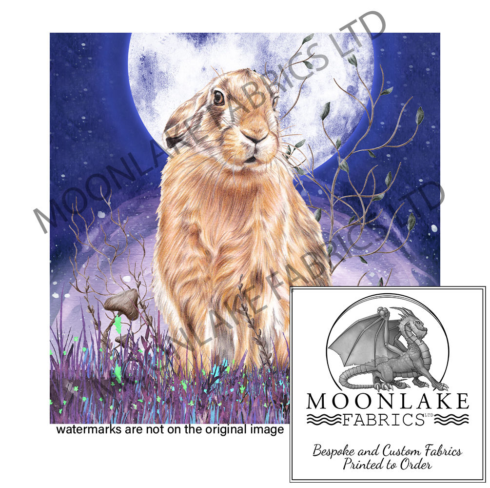 Musing Moonlight Hare