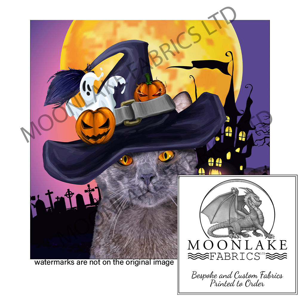 Halloween Cat Witches Hat