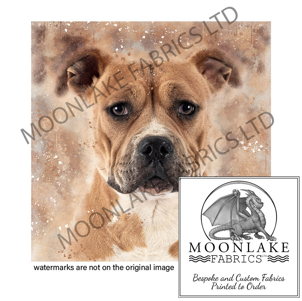 Portrait Staffordshire Bull Terrier