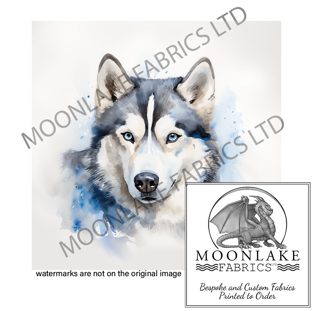 Husky Blues A