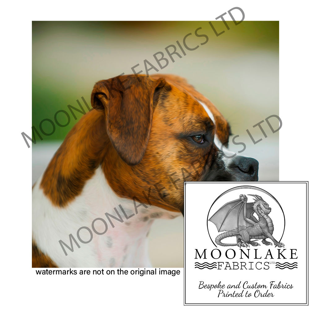 Boxer Dog Photo Panel