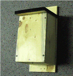 bat_box.gif