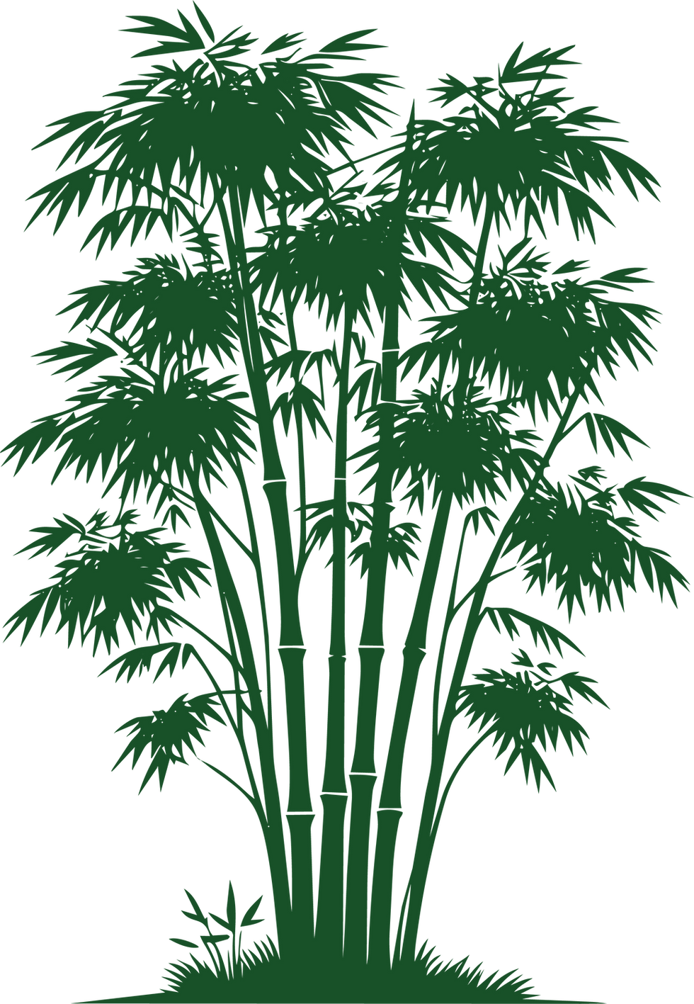bamboo background.png