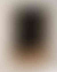 Black; Devoid of Light | A Deeper Look Awaits – Click