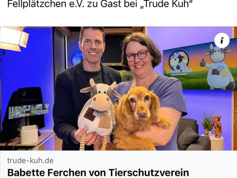 Interview von Trude Kuh